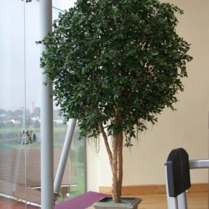 Artificial Indoor Plants | Silk Plants | Artificial Hedges | Outdoor.ie Artificial Indoor Plants | Silk Plants | Artificial Hedges | Outdoor.ie