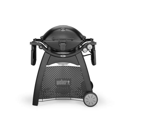 Weber Family Q3200