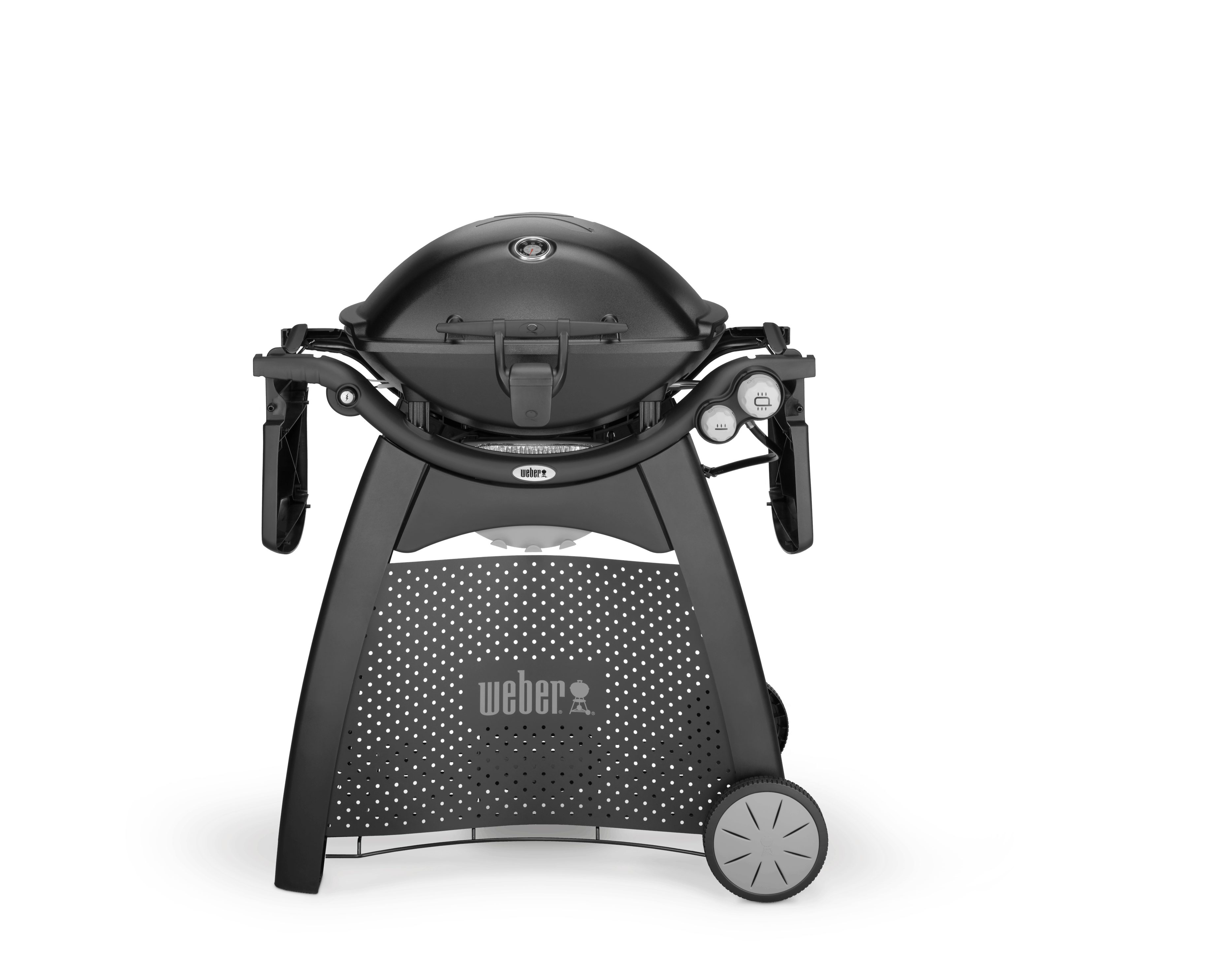 Weber Family Q3200