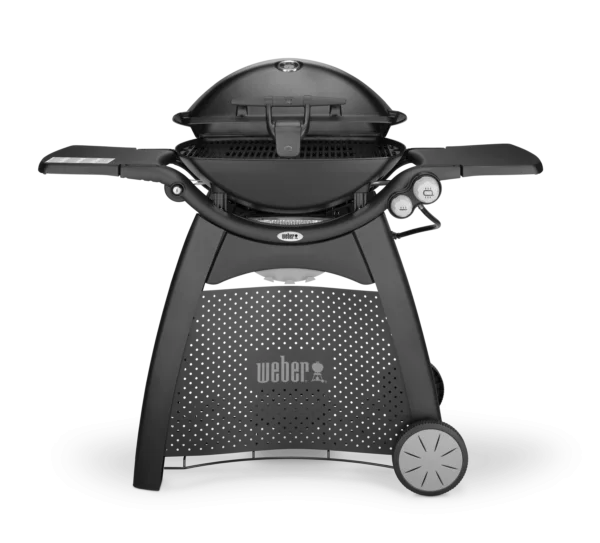 Weber Family Q3200