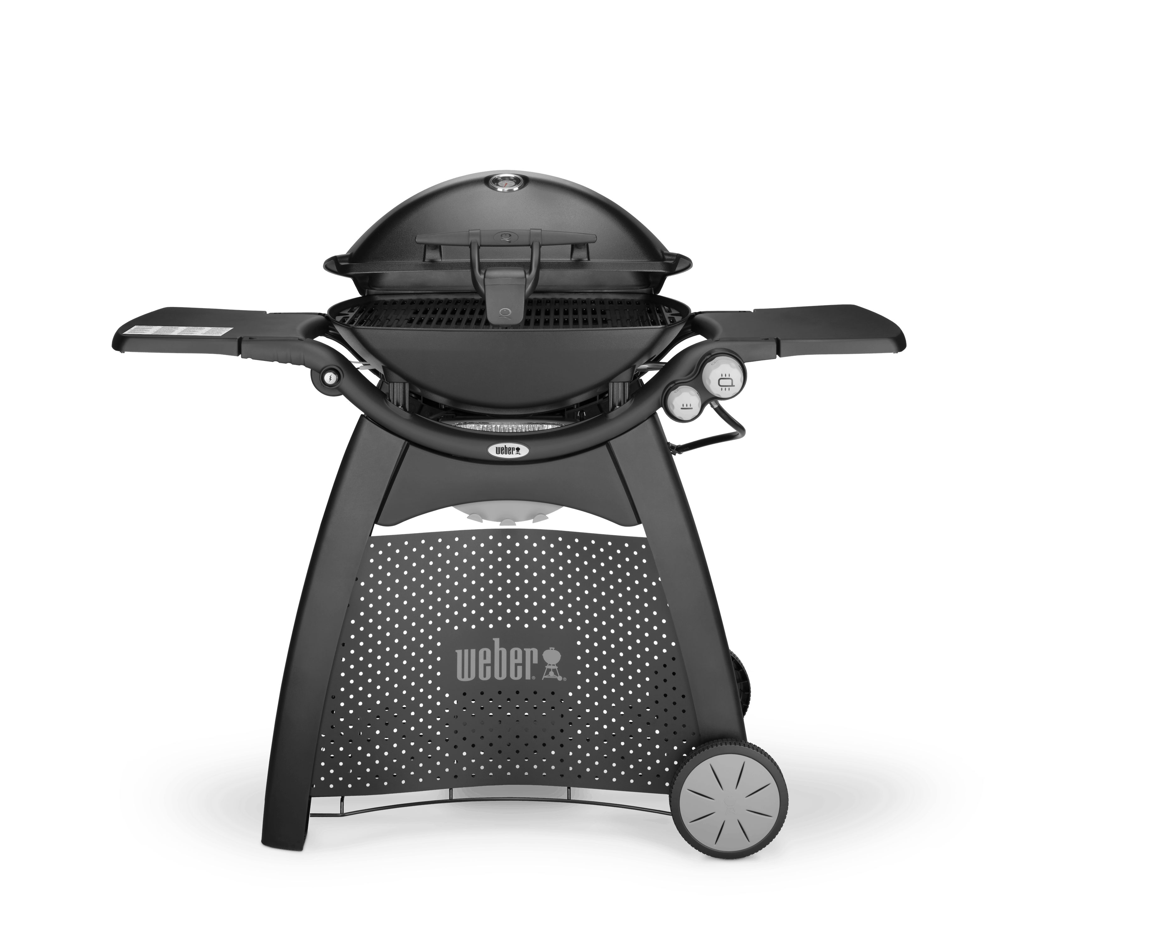 Weber Family Q3200