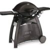 WEBER Family Q3200 57010074