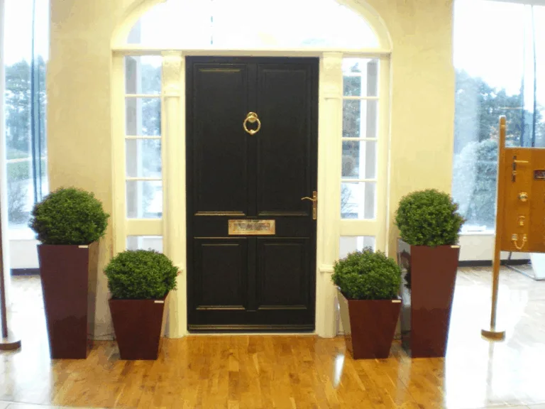 Artificial Boxwood Ball Plants Lined Outside a Door