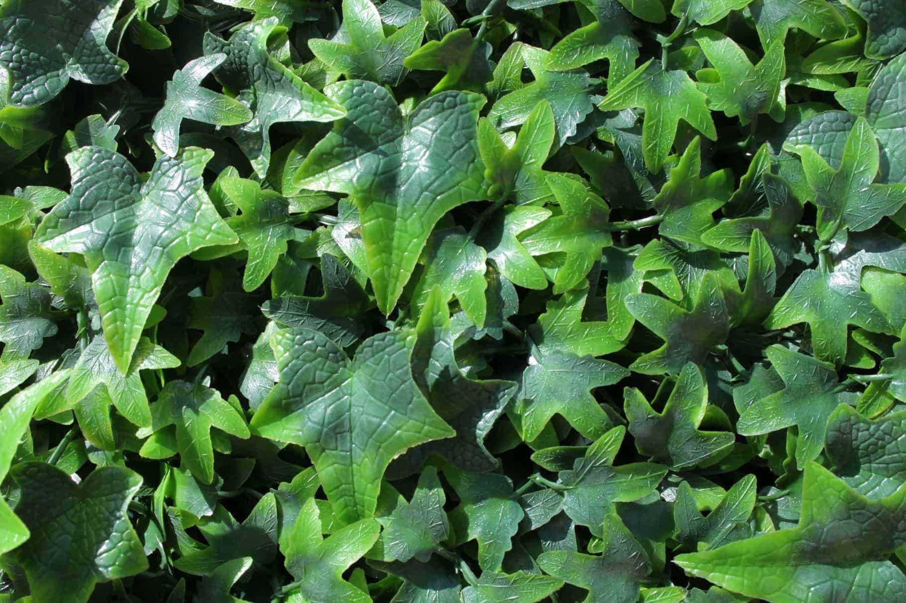 WonderWal Artificial Hedge Screening Tile  English Ivy