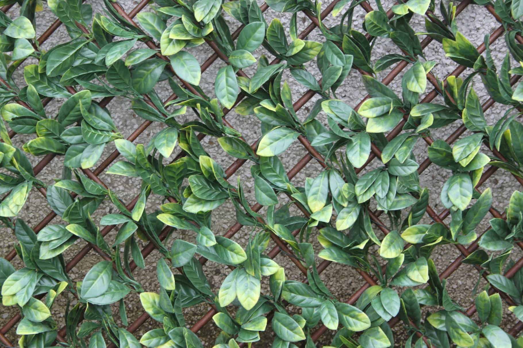 WonderWal Artificial Hedge Screening Trellis Laurel Leaf