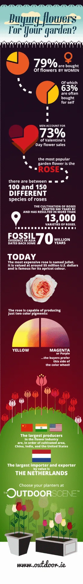 Flowers - Flower Planter Pots - Infographic - Outdoor.ie