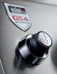 Weber Genesis II E310 Ignition