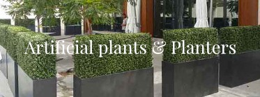Plants banner