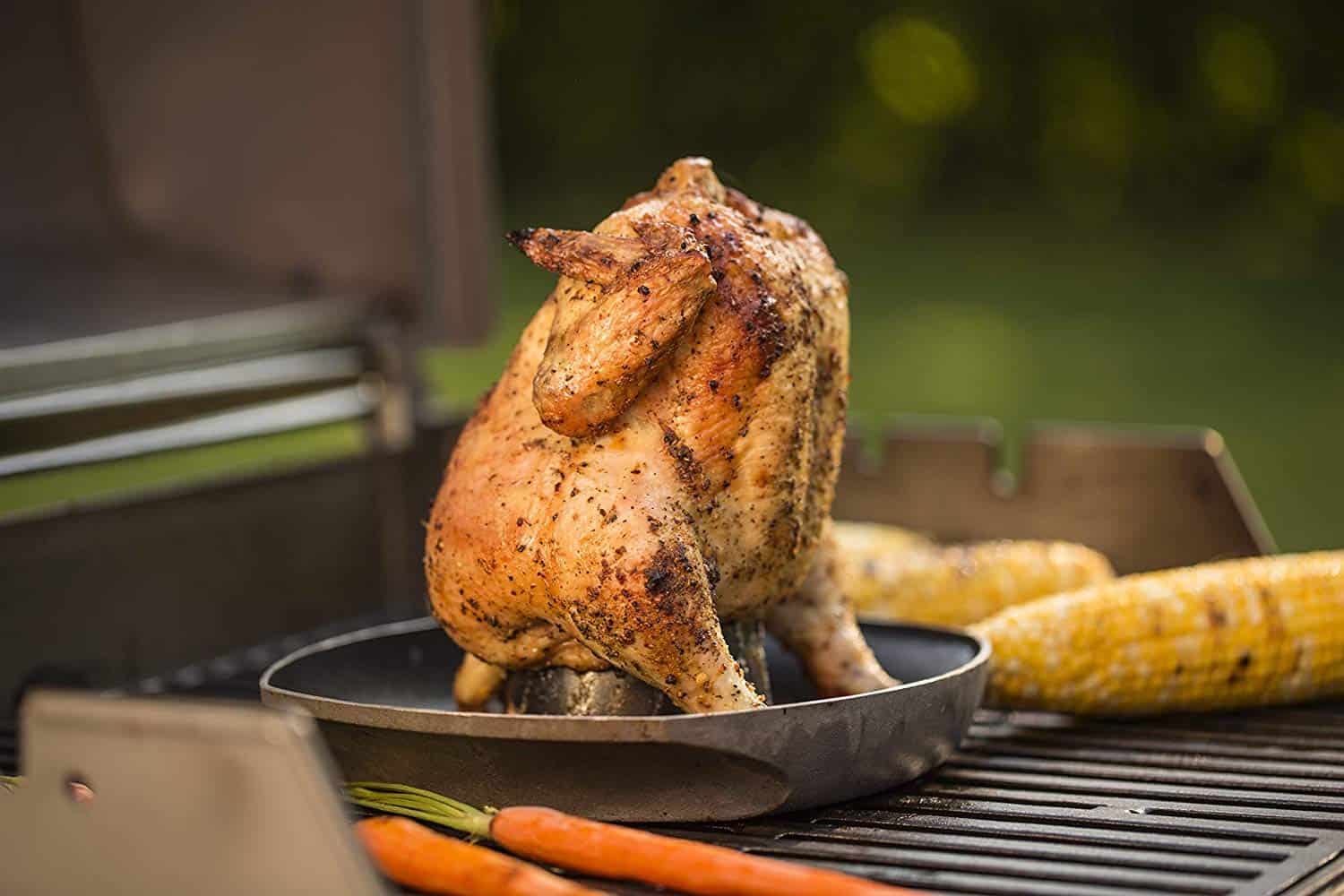 Weber Infusion Style Poultry Roaster