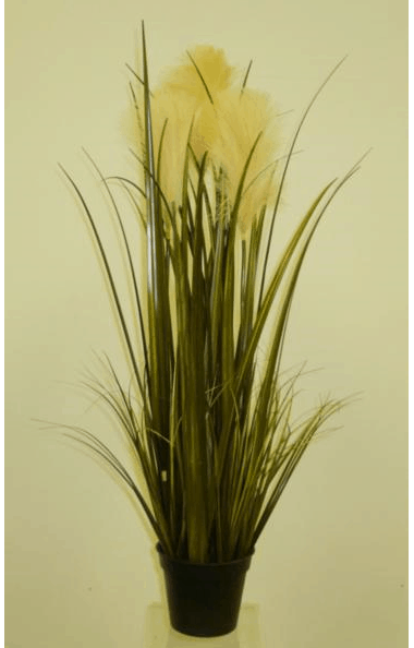 Bullrusch with Grass 76cm – COLLECTION ONLY