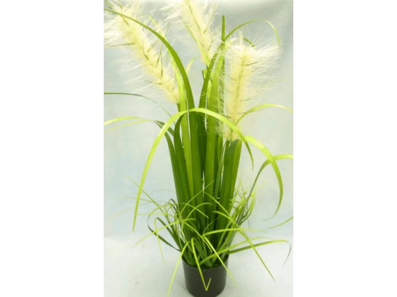 Onion Grass Potted Plant 76cm