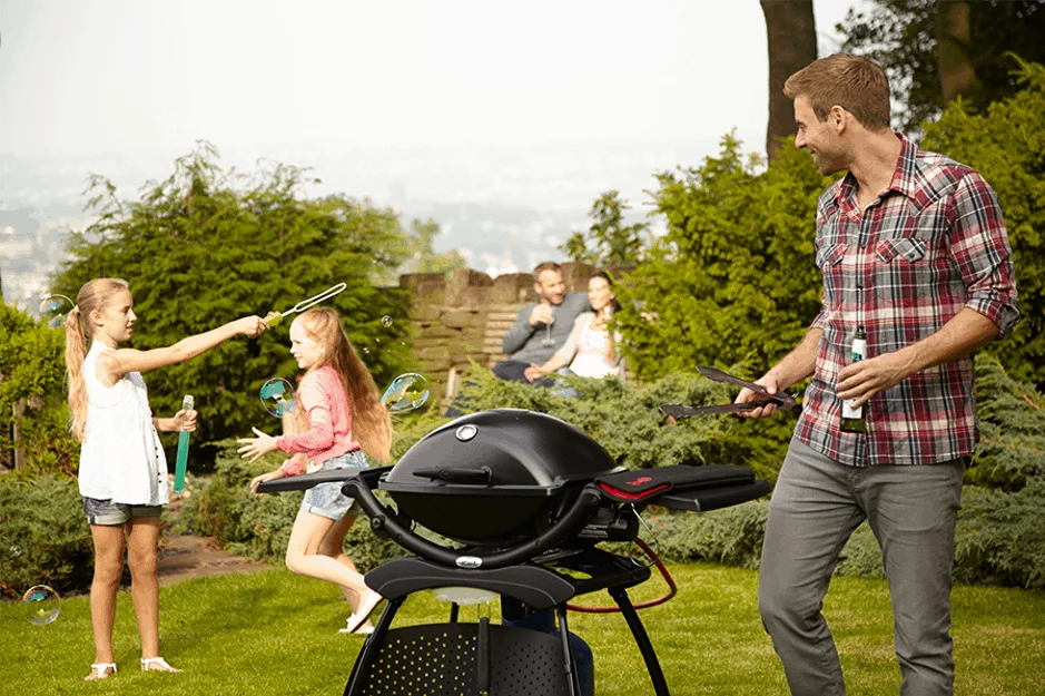 Weber Q2000 Gas Barbecue with Stand