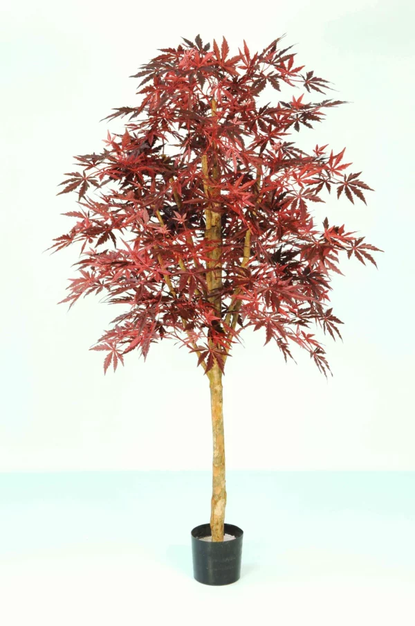 Japanese Maple Tree 6ft - Artificial Plants For Sale Dublin