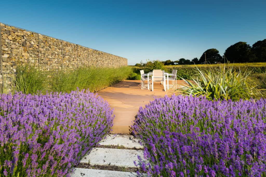 Awarded Garden Ireland - Design By Andrew Christopher Garden Design