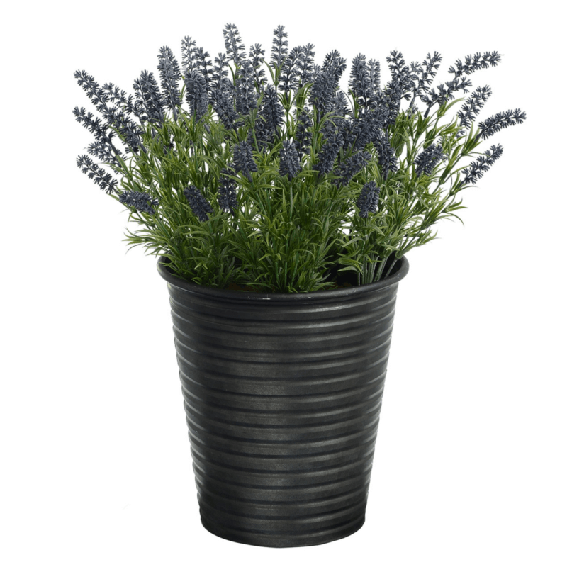 Lavender in Metal Pot (Black) – COLLECTION ONLY