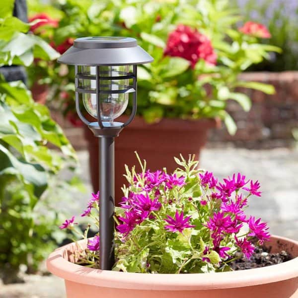 Avant Stake Solar Light