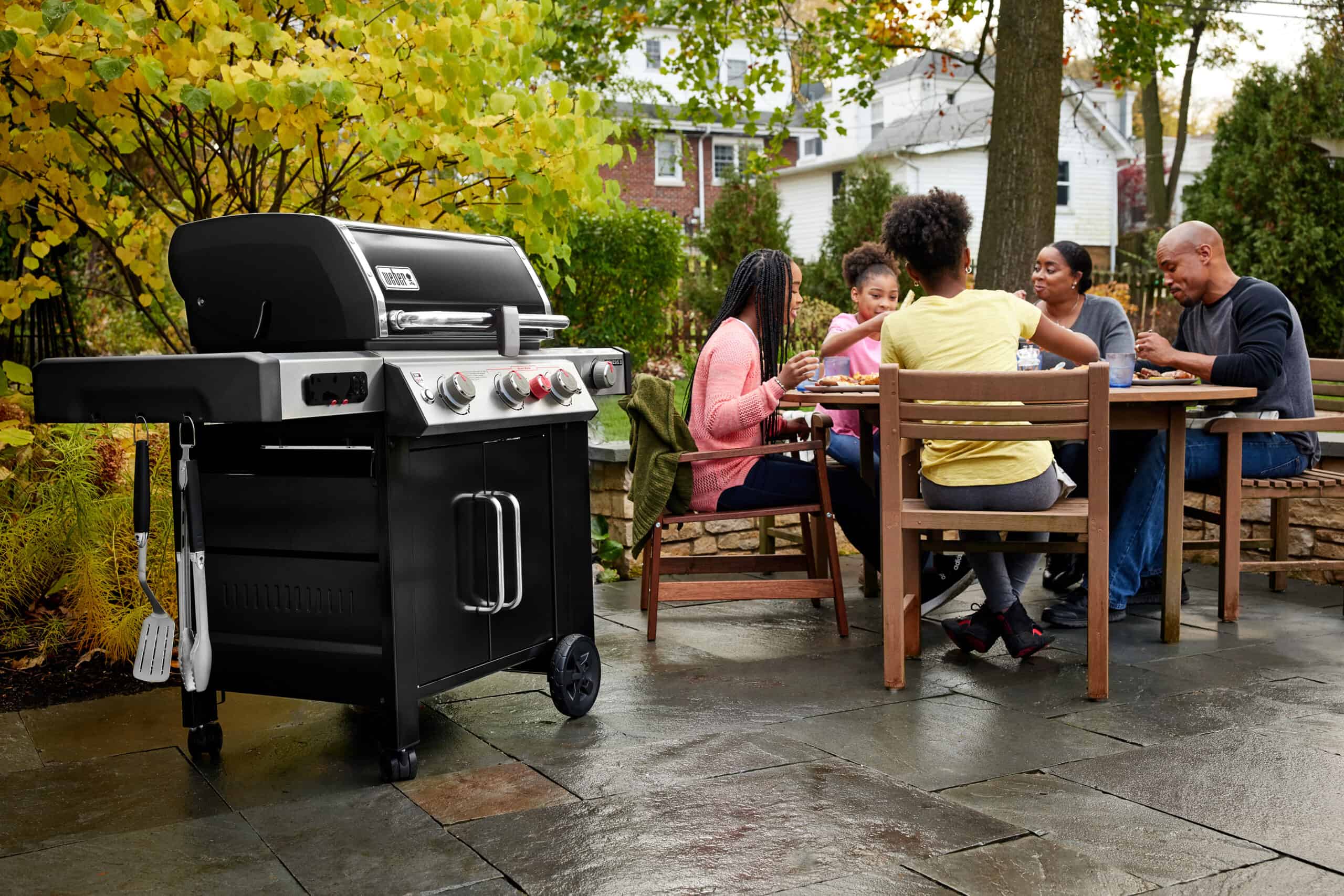 Weber Genesis II EX-335 Smart Grill