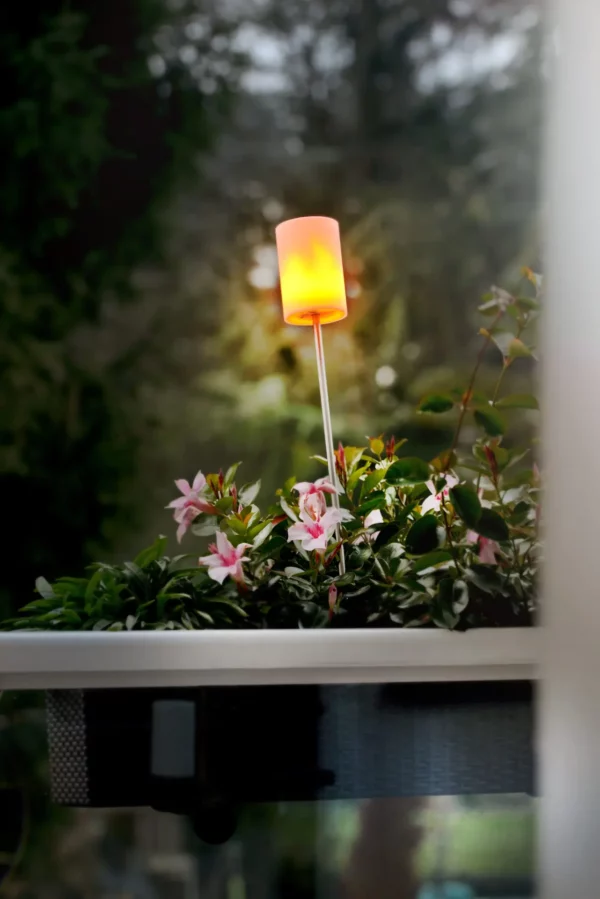 Torch Outdoor Light