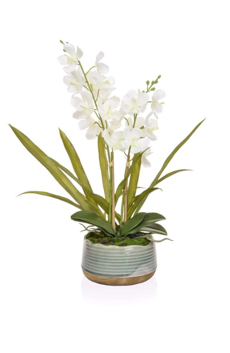 Vanda Orchid White - Artificial Plants For Sale Dublin