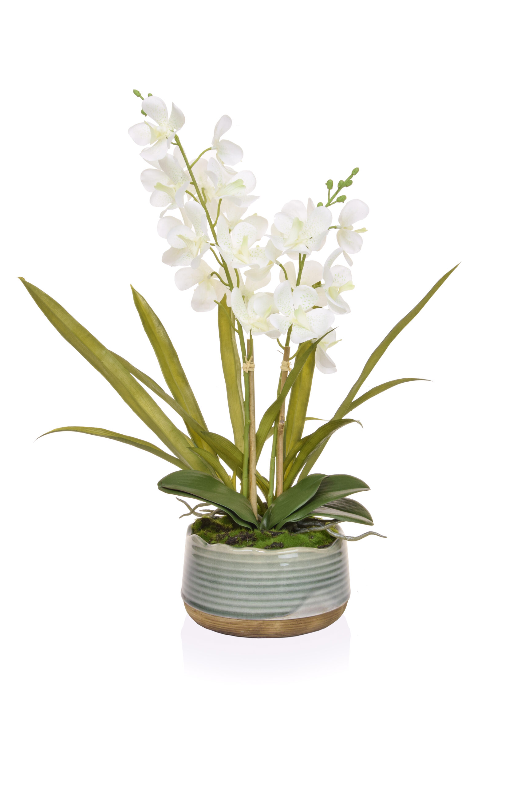 Vanda Orchid Artificial Plant (2 Colours) – COLLECTION ONLY