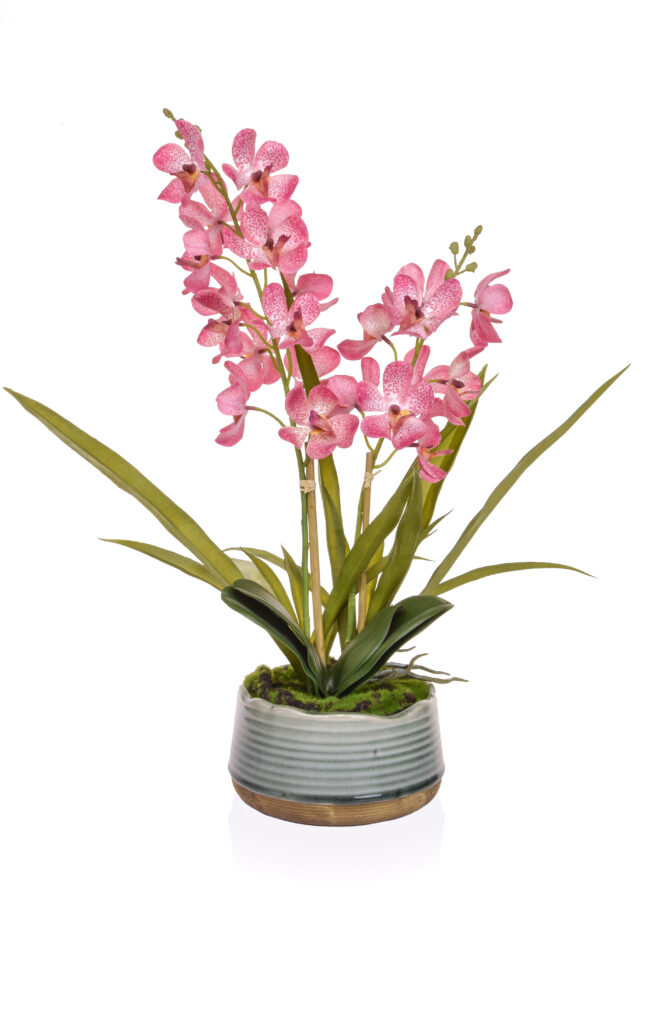 Vanda Orchid Pink Fake Plant - Artificial Plants For Sale Dublin