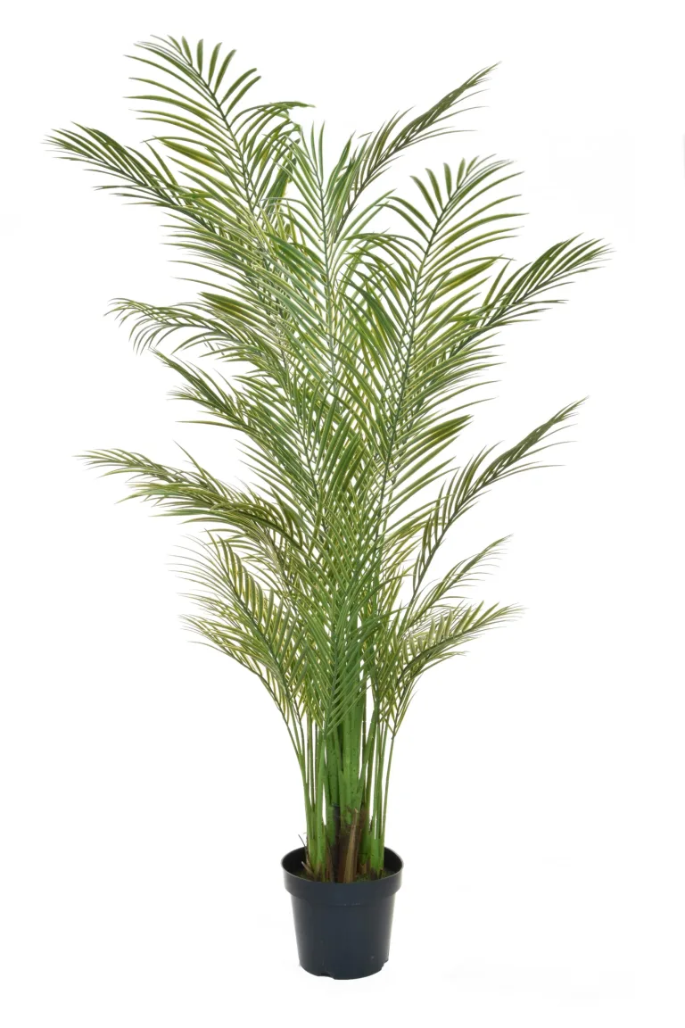 Palm Areca Artificial Plant - Fake Plants For Sale Dublin