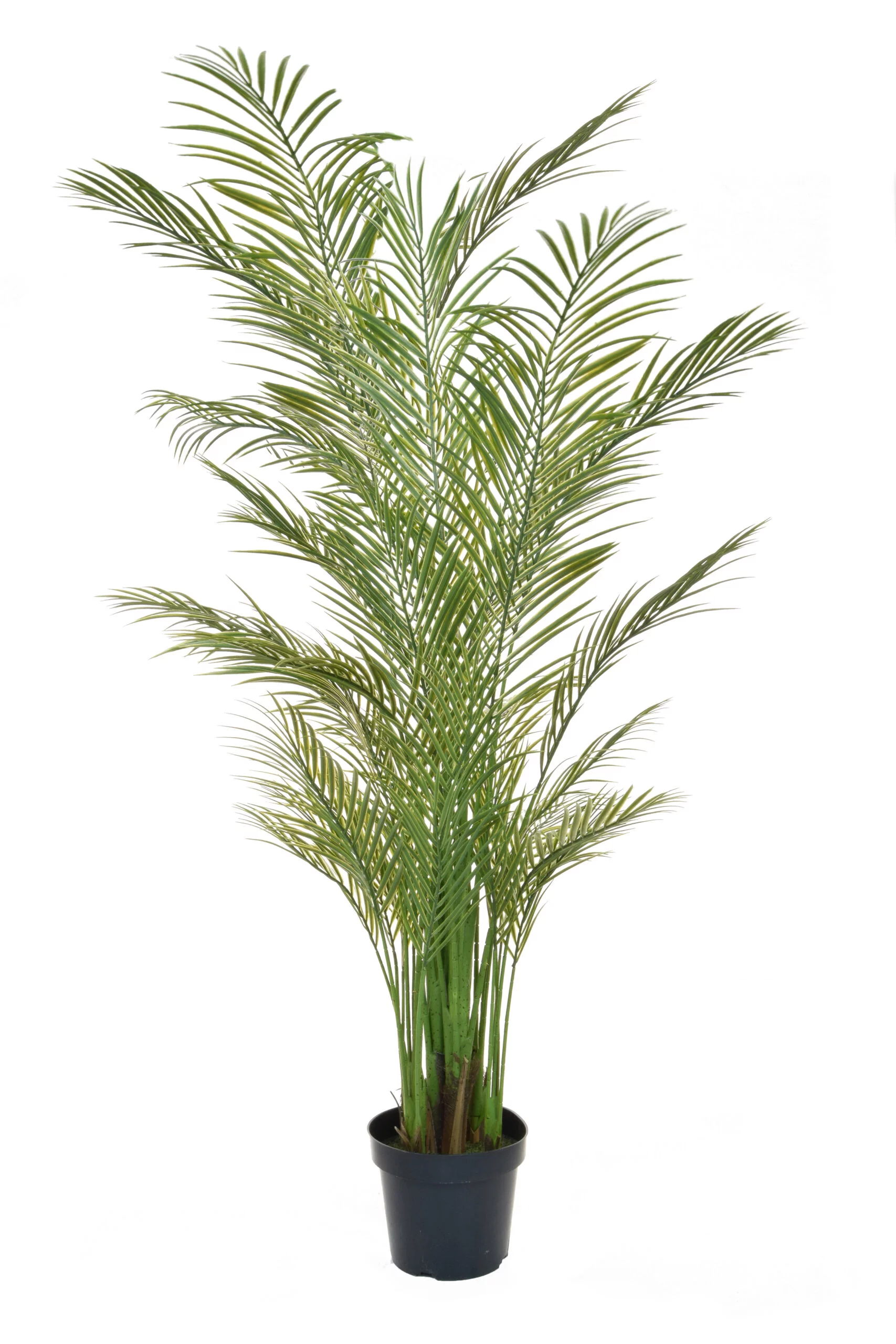 Palm Areca Artificial Plant