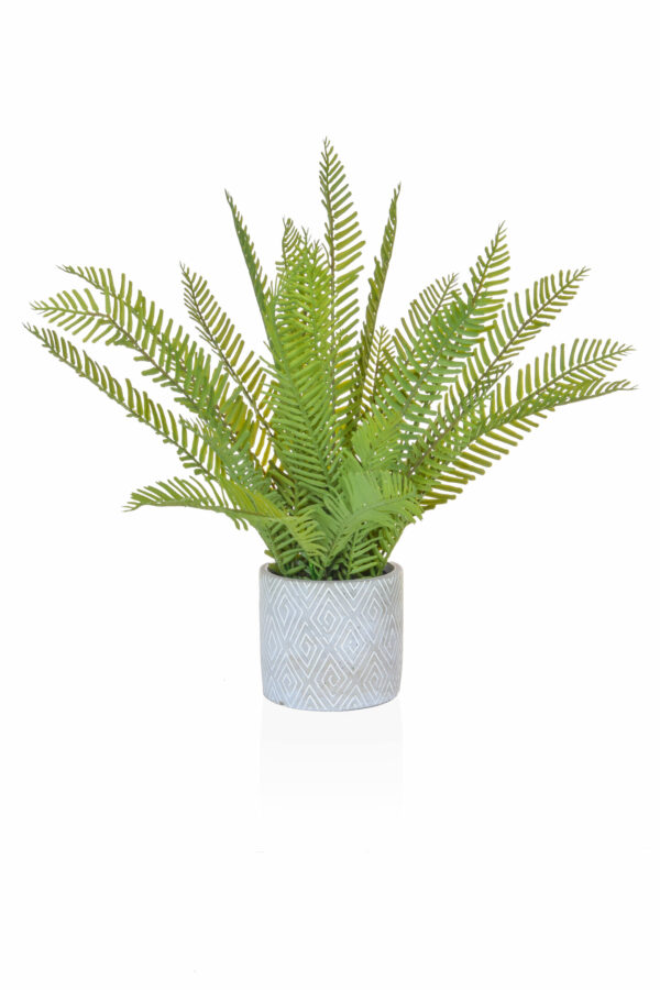 Fern In Pot Artificial Plant 46cm – COLLECTION ONLY
