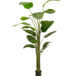 Bird of Paradise Artificial Plant - 2 Sizes