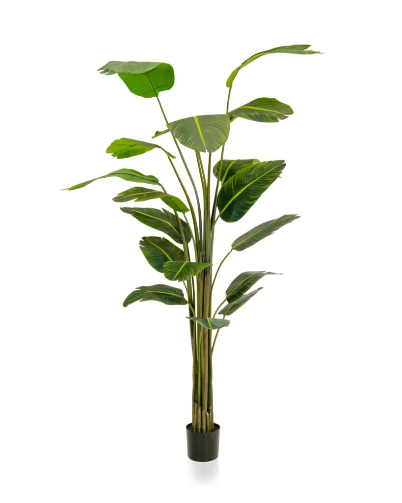 Bird Of Paradise Artificial Plant 240cm - Artificial Plants For Sale Dublin