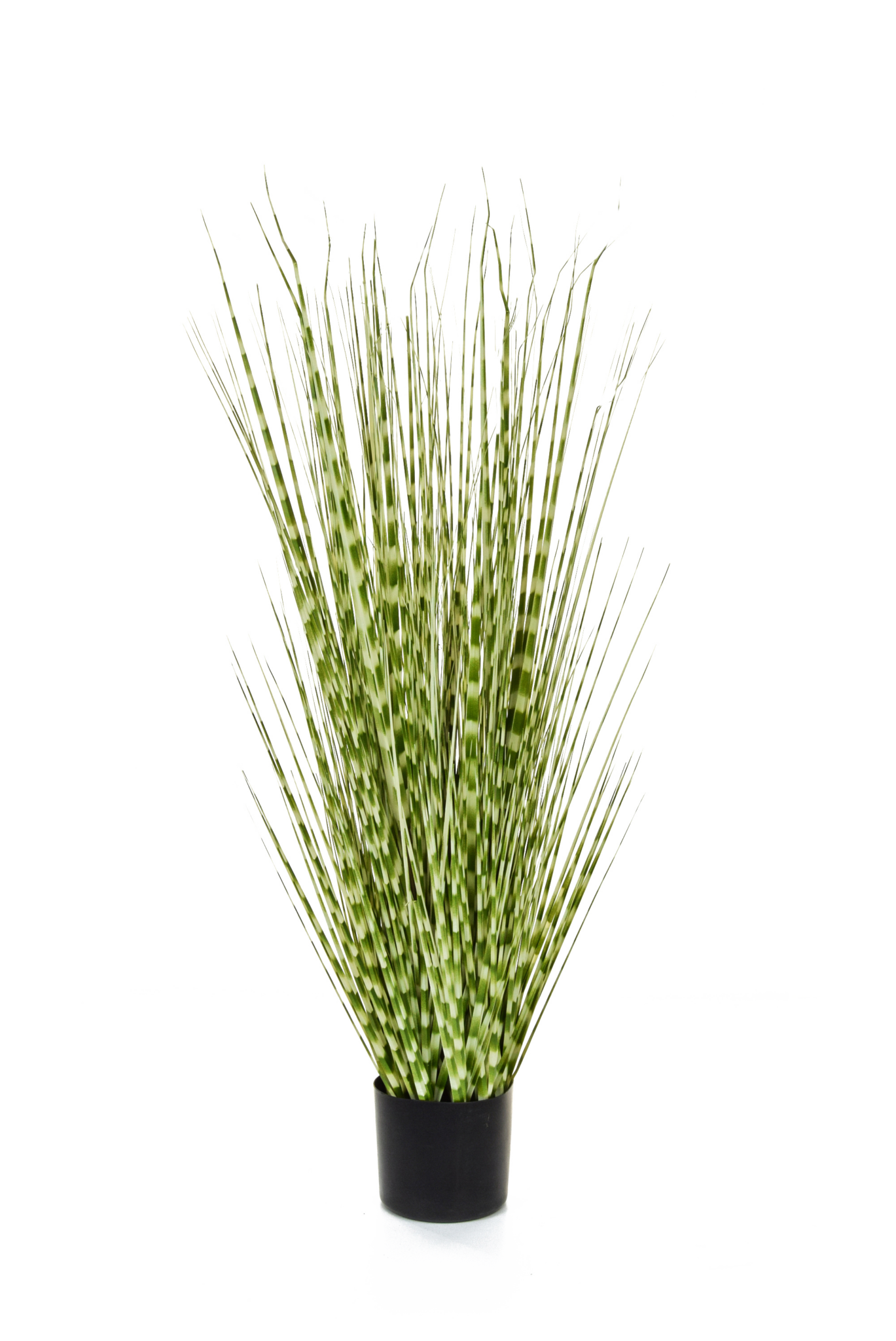 Kenya Palm 5ft Tree COLLECTION ONLY Artificial Indoor Plants, Artificial Plants & Planters