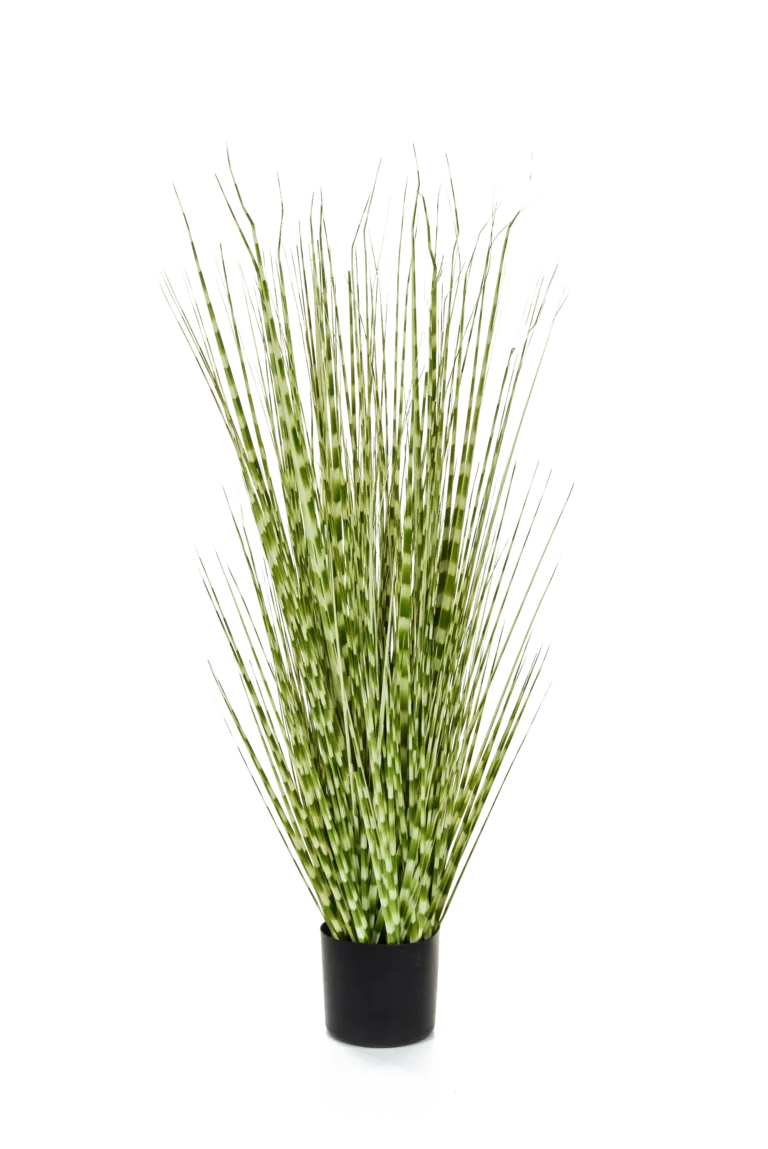 Zebra Grass Artificial Plant - Artificial Plants For Sale Dublin