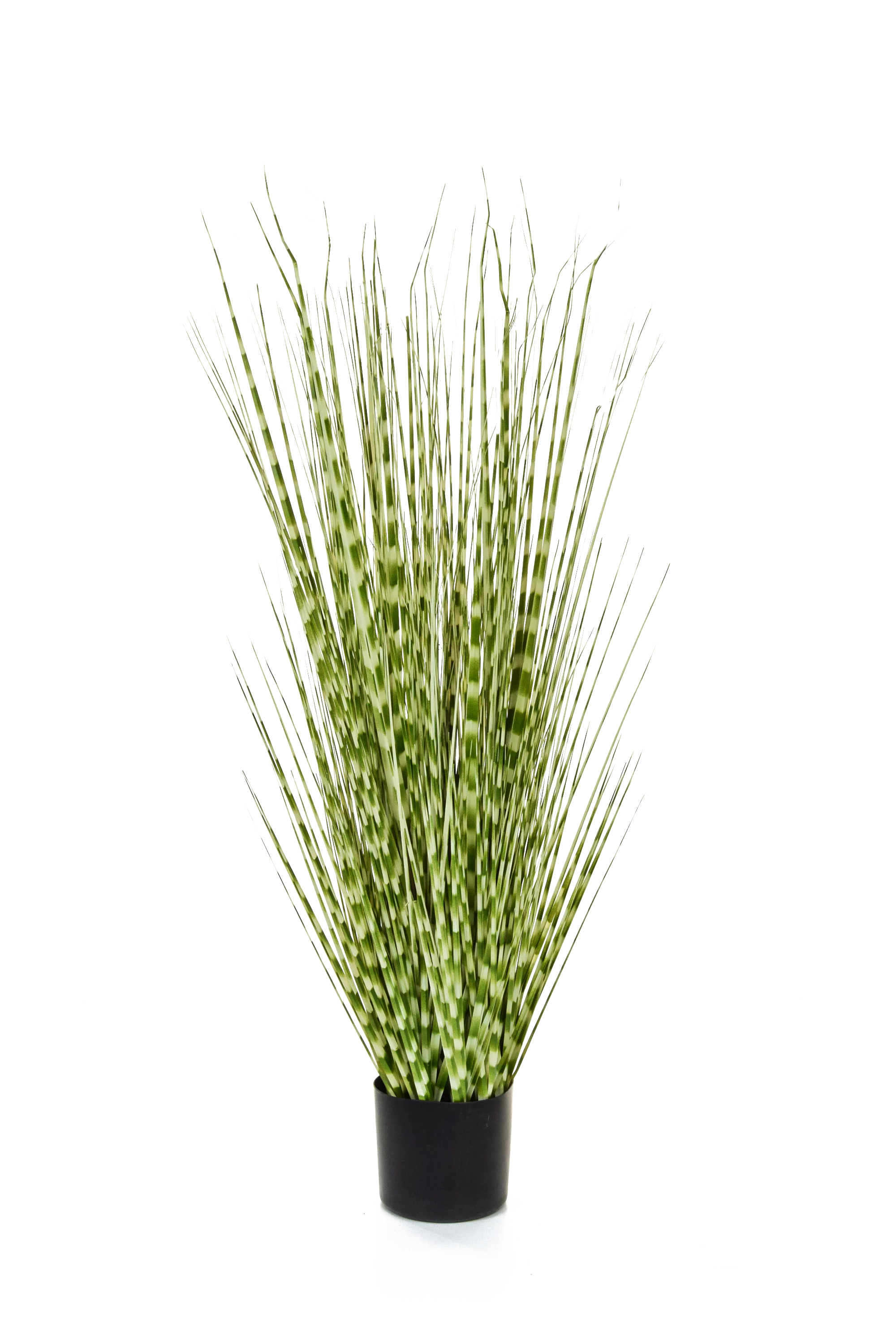 Zebra Grass Artificial Plant - Artificial Plants For Sale Dublin