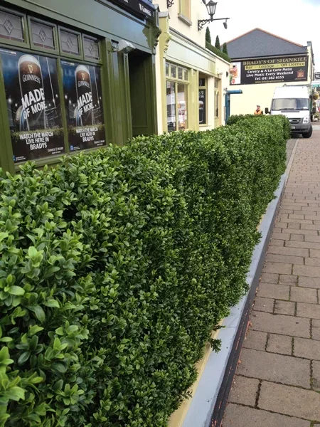 Artificial Boxwood Hedge