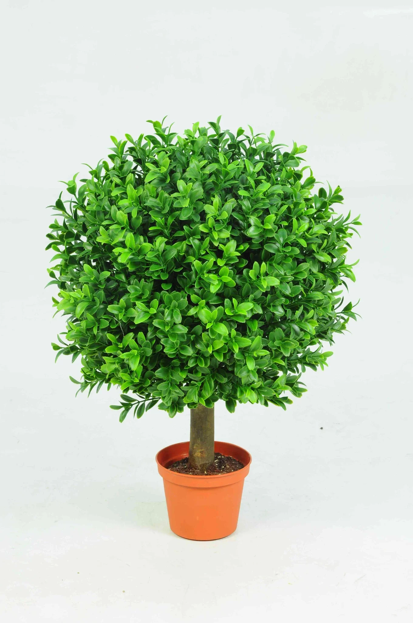 Boxwood Ball In Pot - Artificial Plants For Sale Dublin