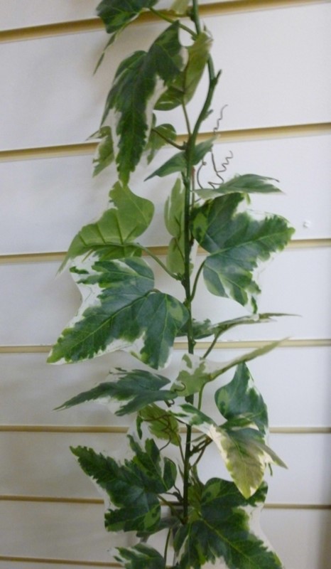 Holland Ivy Garland - Artificial Plants For Sale Dublin