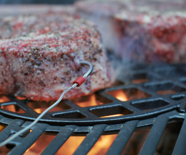 Spirit_EPX315_Pork_Chops_2_rgb