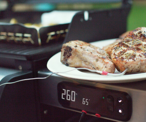 Spirit_EPX315_Pork_Chops_C_2_rgb