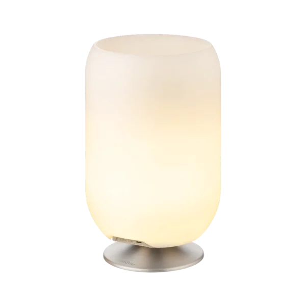 Kooduu Atmos Wine Cooler and Bluetooth Speaker Brushed Silver