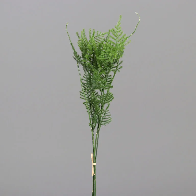 Plumosus Bundle in Polybag - Artificial Plants - The Outdoor Scene Ireland