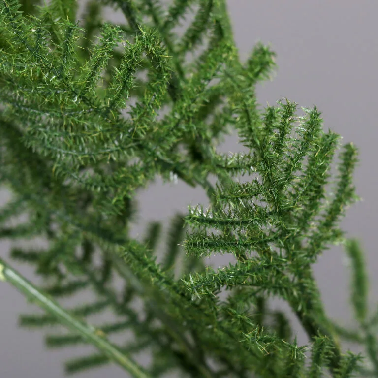 Plumosus Bundle - Close Shot - Artificial Plants and Planters at The Outdoor Scene Dublin Ireland
