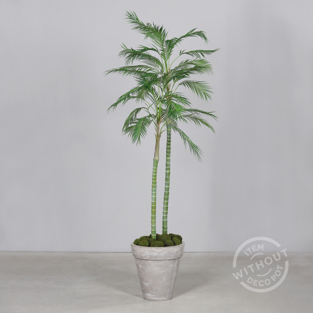 Artificial Chico Palm in Black Plastic Pot - Artificial Plants and Trees Ireland