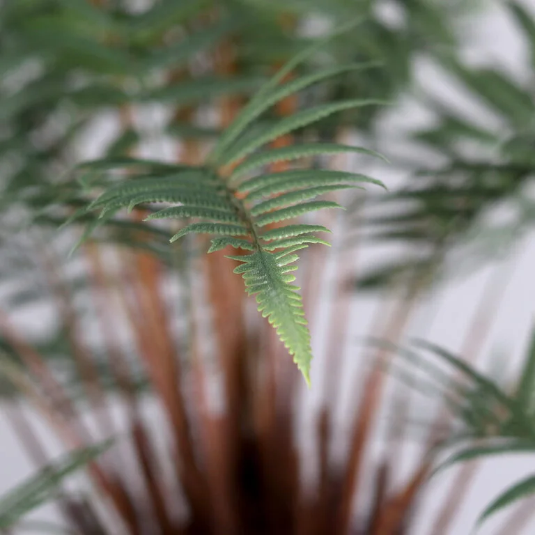 Artificial Fern Plant Stem - Close Shot - Artificial Trees and Plants Ireland