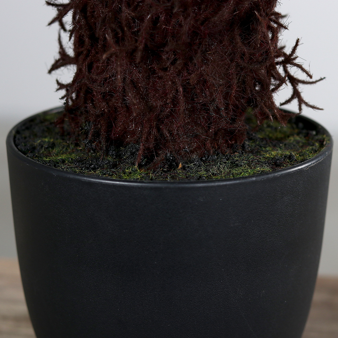 4ft Fern Plant in Black Plastic Pot