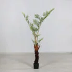 4ft Fern Tree in Black Plastic Pot