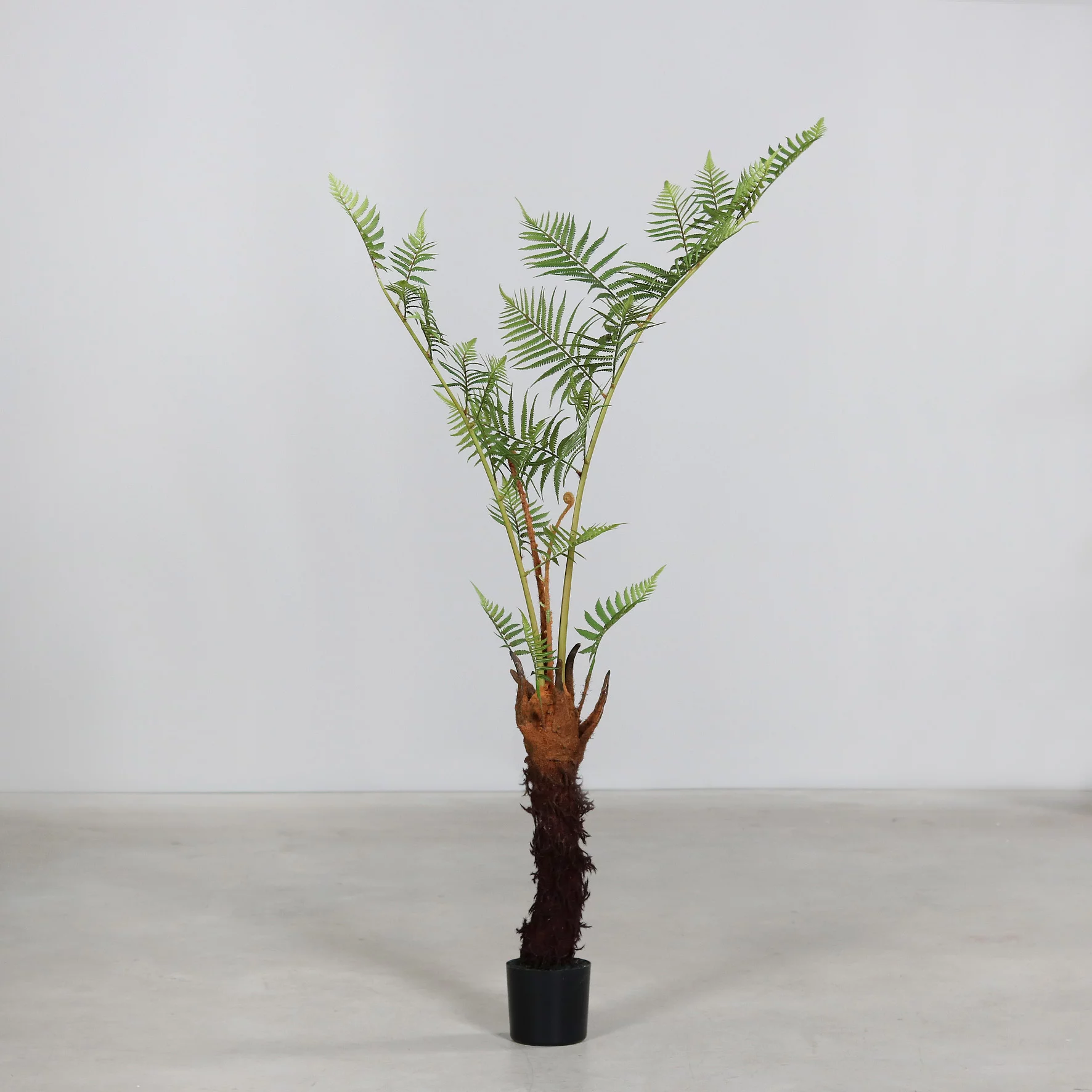 130cm Fern Tree in Black Plastic Pot - Buy Artificial Trees in Ireland