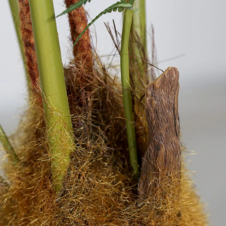 Artificial Fern Tree Stems - Close Shot - Shop Artificial Trees Ireland