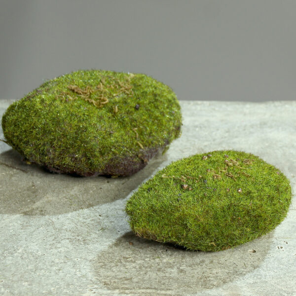 Moss Sponge – 2 Sizes