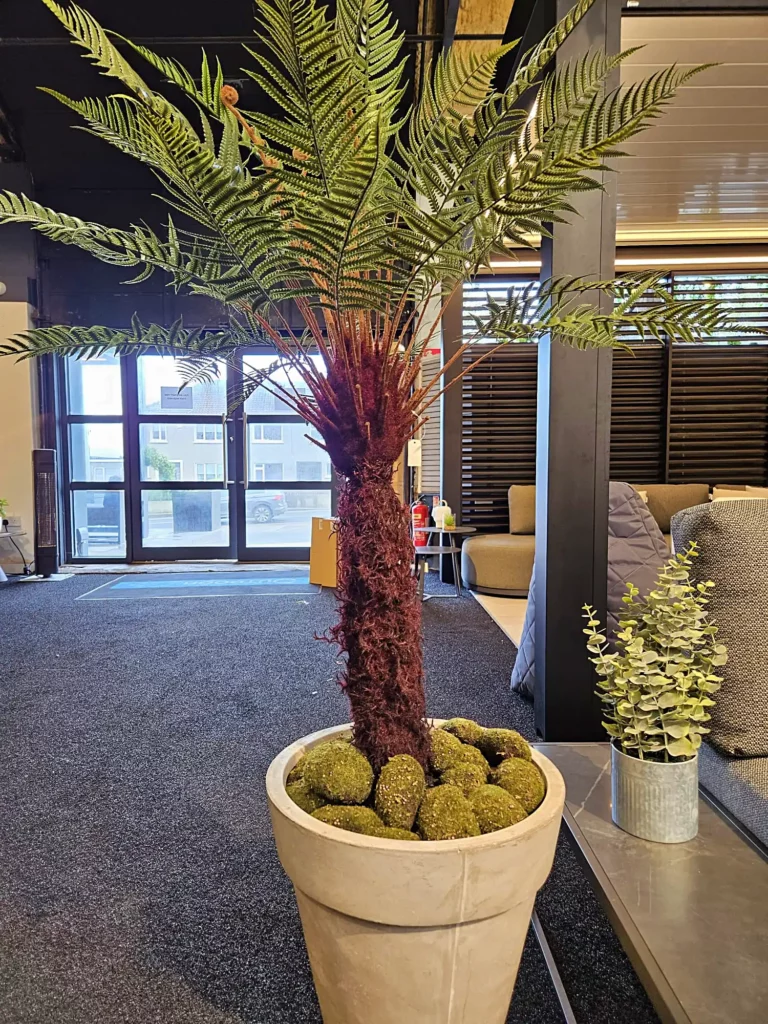 Moss Sponges placed at the bottom of the planter - Indoor Plant Decorations Ireland