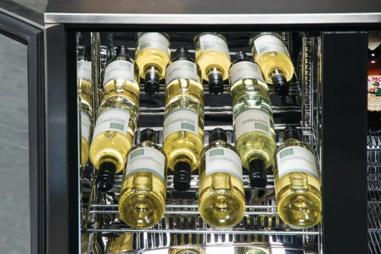 Spacious Capacity of Napoleon 210L Outdoor Fridge from The Outdoor Scene Ireland